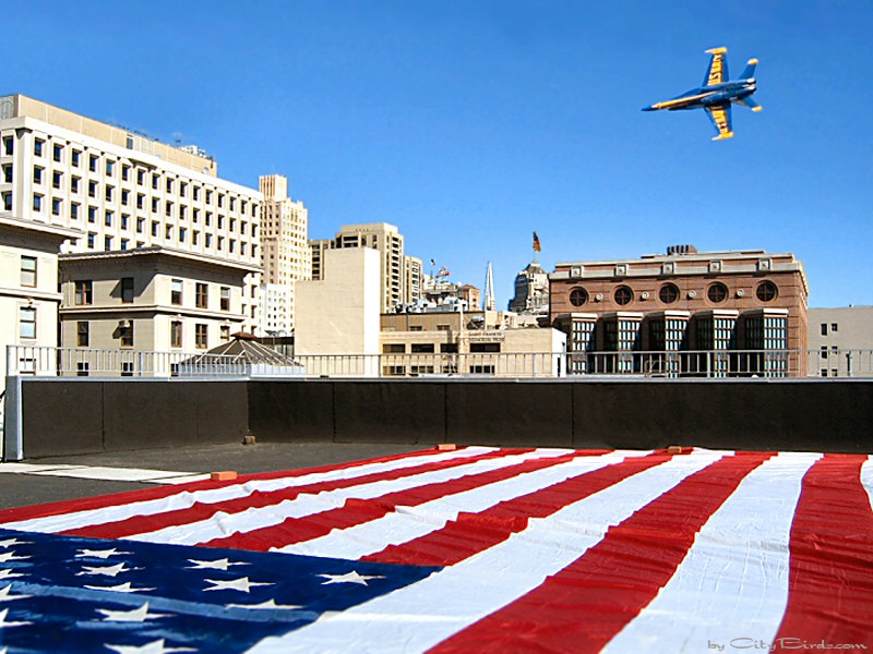 U.S. Navy Blue Angel flyover